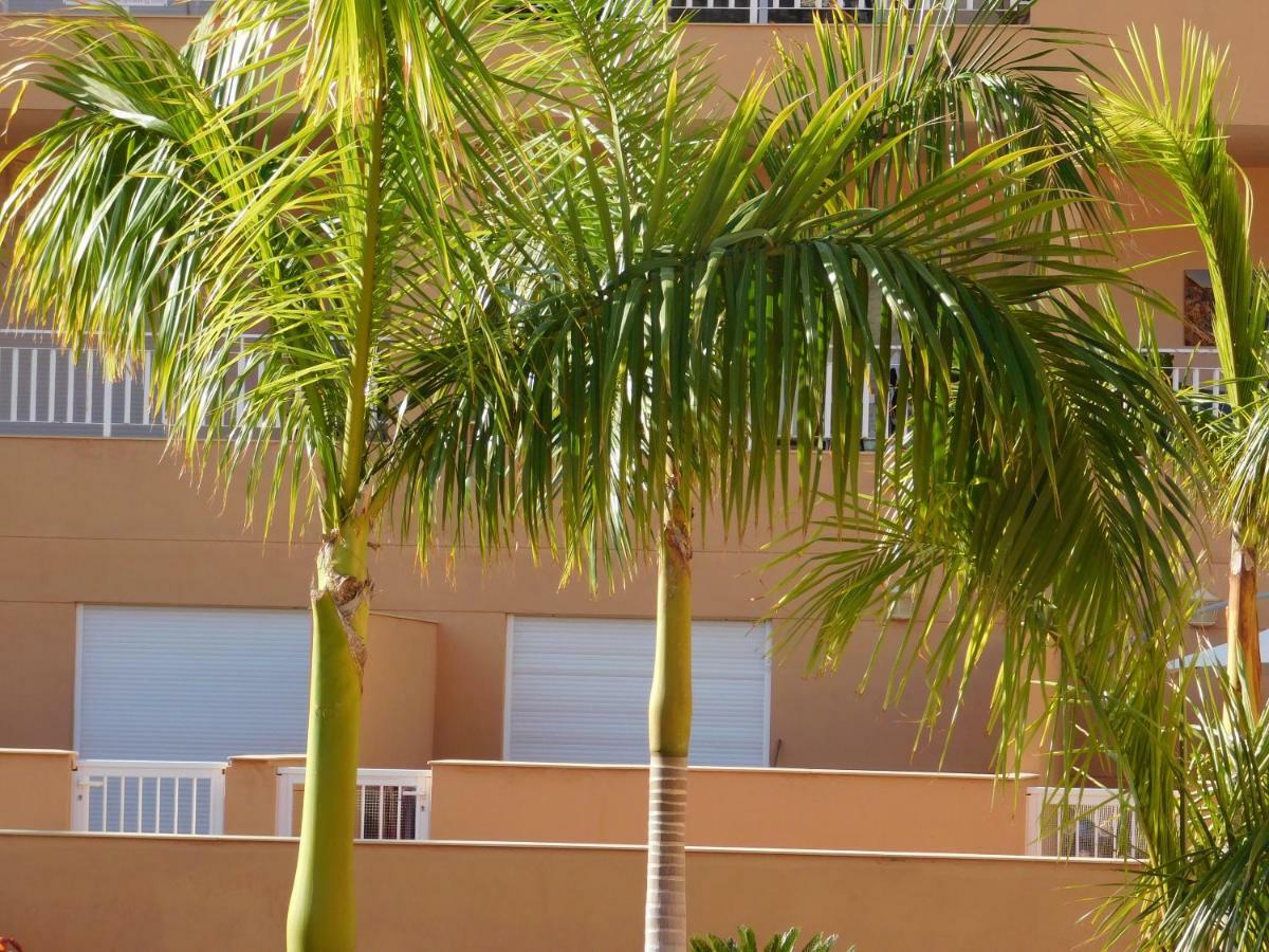 شقة Brisas Del Mar أذيخي المظهر الخارجي الصورة